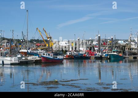 I pescherecci da traino ormeggiati all'interno del porto di Newlyn. Affollata di piccole imbarcazioni da pesca e di pescherecci a strascico in ormeggi lungo i pontoni. Blu cielo orizzontale formato. Foto Stock