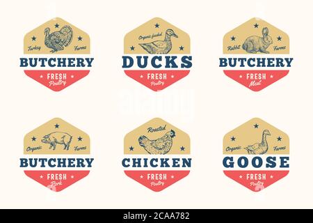 Set di segni vettoriali, simboli o modelli di logo per la carne di allevamento e pollame. Animali domestici e uccelli disegnati a mano Sillhouette con retro tipografia Illustrazione Vettoriale