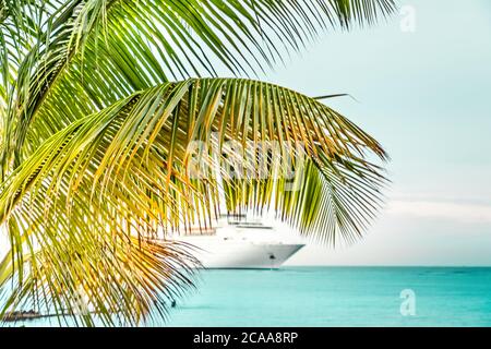 Palm Tree e di una nave da crociera nei Caraibi Foto Stock
