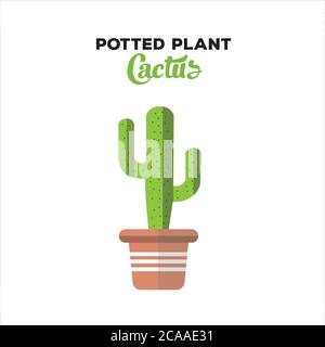 Pianta in vaso Cactus, elemento, vettore Cactus, cactus verde in vaso cevtor. Disegno piatto Illustrazione Vettoriale