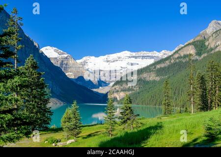 Ghiacciaio Victoria, Lago Louise, Parco Nazionale Banff, Alberta Foto Stock