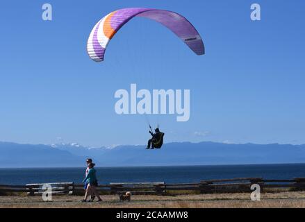 Victoria, British Columbia, Canada, 05 AGO 2020 - UN parapendio, approfittando del vento proveniente dalle scogliere di Dallas Road e fronte oceano, sorvola una coppia e il loro cane godendo una passeggiata estiva a Victoria sull'isola di Vancouver. Don Denton/Alamy Live News Foto Stock