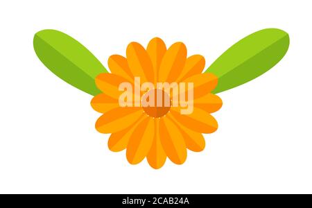 Arancio Calendula fiore con simbolo foglie. Illustrazione vettoriale. Illustrazione Vettoriale