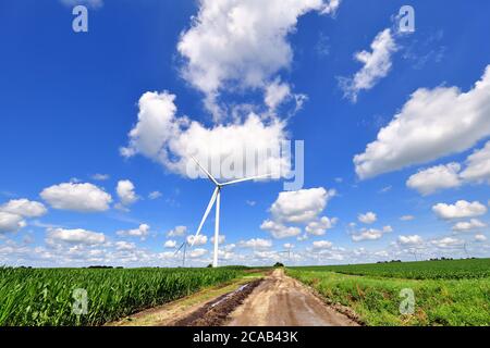 Kernan, Illinois, Stati Uniti. Una turbina eolica all'interno di un campo di turbine nana le colture circostanti e il paesaggio su una fattoria dell'Illinois centro-settentrionale. Foto Stock