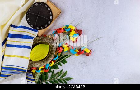 L'etrog giallastro religioso ebreo del citron è usato durante la festa del kippah di Sukkot e del libro di preghiera del tallit Foto Stock