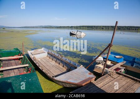 Vecchie barche anchord su un pontile in rovina sul Danubio in Serbia, durante un pomeriggio di sole. Il Danubio è il fiume più grande dell'Europa centrale. Panoramica Foto Stock