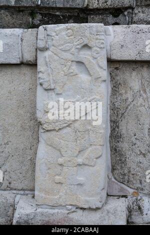 Un pannello di pietra intagliata di Pacal il Grande nel Palazzo nelle rovine della città maya di Palenque, Palenque National Park, Chiapas, Messico. UN UNESCO Foto Stock