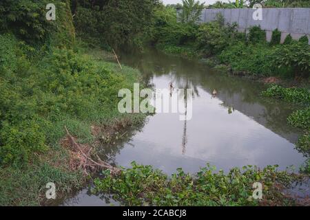 Canale di drenaggio dall'area comunitaria Foto Stock