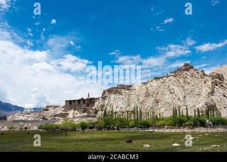 Ladakh, India - splendida vista panoramica dal villaggio di Shey in Ladakh, Jammu e Kashmir, India. Foto Stock