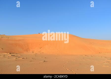 Area desertica con dune di sabbia in una giornata di sole Foto Stock