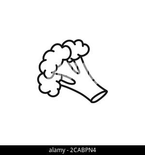 icona di broccoli doodle, illustrazione della linea vettoriale Illustrazione Vettoriale