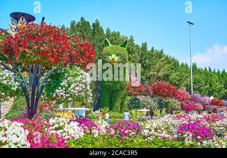 DUBAI, Emirati Arabi Uniti - 5 MARZO 2020: I colorati fiori di petunia decorano i letti di fiori e pendono dalle pentole del Miracle Garden, il 5 marzo a Dubai Foto Stock