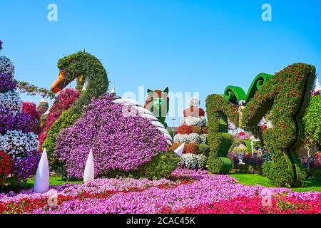 DUBAI, Emirati Arabi Uniti - 5 MARZO 2020: Le scenografiche installazioni floreali di cigno, mosca e gatto tra fiori di petunia nel Miracle Garden, il 5 marzo a Dubai Foto Stock