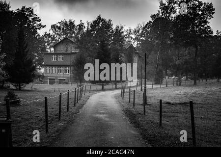 creepy vecchio palazzo abbandonato in foresta con un percorso che conduce ad esso Foto Stock