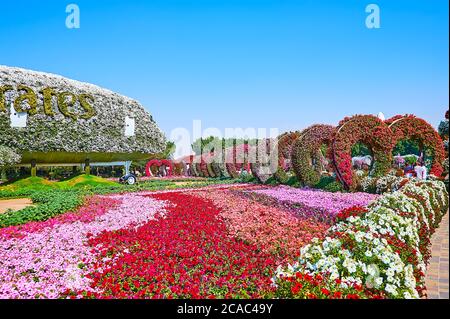 DUBAI, Emirati Arabi Uniti - 5 MARZO 2020: Splendidi letti di fiori di petunia colorata e archi a forma di cuore decorano il Miracle Garden, il 5 marzo a Dubai Foto Stock