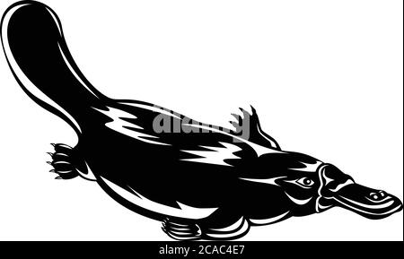 Illustrazione in stile retrò in legno di un platypus ornitorhynchus anatinus, un mammifero semidacqueo endemico endemico dell'Australia nuoto dow Illustrazione Vettoriale