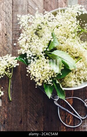 Fiori bianchi di sambuco in un colander su un tavolo di legno. Foto Stock