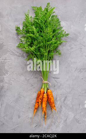 Mazzo di gustose carote organiche con foglie verdi su fondo grigio di cemento. Vista dall'alto. Concetto di cibo sano. Disposizione piatta. Spazio di copia. Verticale Foto Stock