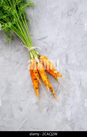 Mazzo di gustose carote organiche con foglie verdi su fondo grigio di cemento. Vista dall'alto. Concetto di cibo sano. Disposizione piatta. Spazio di copia. Verticale Foto Stock