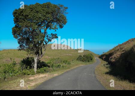 Vagamon è una stazione collinare situata a Kottayam- Idukki confine con il Kerala. Foto Stock