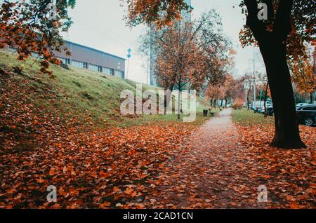 Percorso desertato con auto parcheggiate e panchine coperte da foglie secche d'autunno nel pomeriggio. Foto Stock