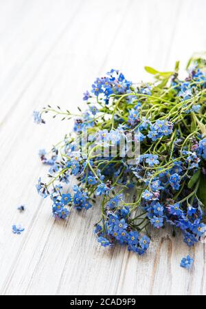 Forget-me-non fiori su sfondo bianco di legno Foto Stock