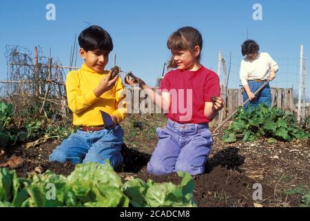 Austin Texas USA, 1991: Ragazzo e ragazza di sei anni si sporcano le mani mentre lavorano nel giardino comunale. SIGNOR EV-036-037. ©Bob Daemmrich Foto Stock