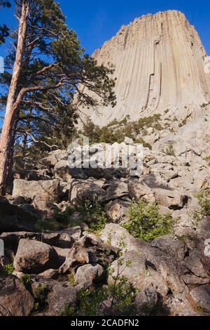 Devils Tower nel Wyoming Foto Stock