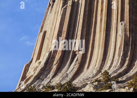 Primo piano della Devils Tower (Wyoming) dal Tower Loop Trail Foto Stock