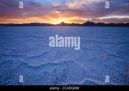 Tramonto alle saline di Bonneville Foto Stock