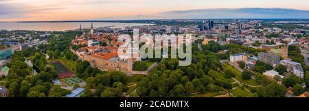 Foto aerea della città vecchia di Tallinn con tetti arancioni, guglie delle chiese e strade strette Foto Stock