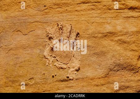 Stampe a mano su slot canyon a Kanarra Falls, Utah. Foto Stock