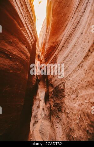 Stretti canyon di slot a Escalante, Utah durante i viaggi estivi. Foto Stock