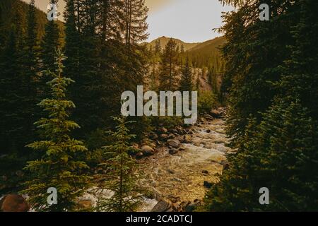 Tramonto dorato sulla riva del fiume circondato da pini vicino Aspen, Colorado Foto Stock