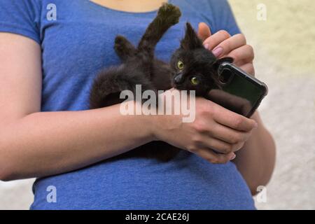 La donna gioca con il gattino. Carino gattino stupefacente. Ritratto di carino gattino grazioso. Gattino simpatico e divertente. Foto Stock