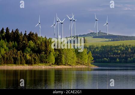 Diga di Prisecnice in Krusne montagne di hory, radici nel serbatoio d'acqua Prisecnice, la foto migliore. Foto Stock