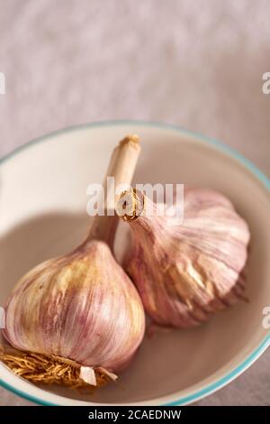 Aglio. Due intere teste di aglio crudo da una fattoria nella contea di Lancaster, Pennsylvania, Stati Uniti Foto Stock