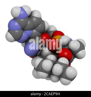 Molecola di farmaco antivirale di Remdesivir. Rendering 3D. Gli atomi sono rappresentati come sfere con codifica a colori convenzionale: Idrogeno (bianco), carbonio (grigio), n Foto Stock