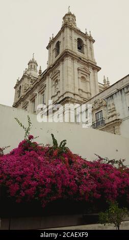 Un ricco pezzo di architettura manuelina a Lisbona Foto Stock