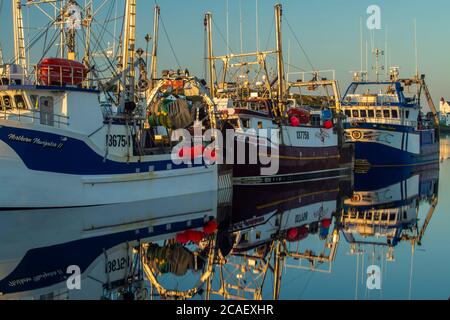 Pescherecci da traino ormeggiati, Twillingate, Terranova e Labrador NL, Canada Foto Stock