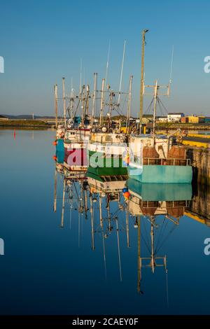 Pescherecci da traino ormeggiati, Twillingate, Terranova e Labrador NL, Canada Foto Stock