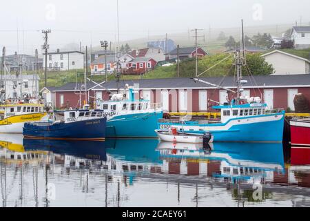 Barche colorate e casa nella nebbia, Branch, Terranova e Labrador NL, Canada Foto Stock