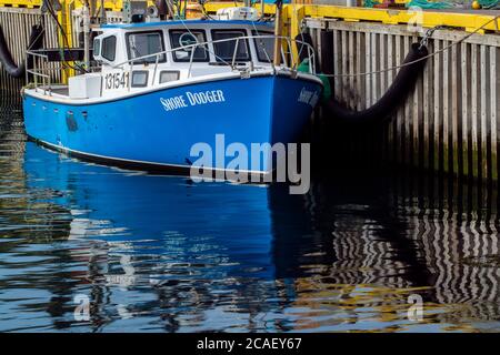 Barche ormeggiate nei pressi di Fort Amherst, St. Johns, Terranova e Labrador NL, Canada Foto Stock