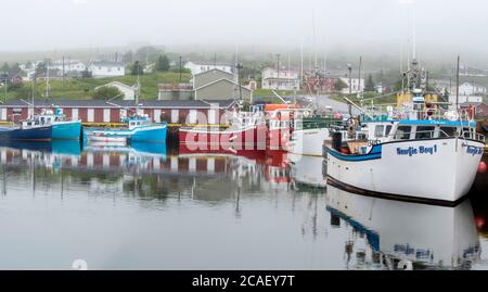 Barche colorate e casa nella nebbia, Branch, Terranova e Labrador NL, Canada Foto Stock