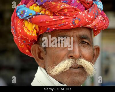 L'uomo del vecchio Rajasthani indiano con i baffi grandi indossa un turban colorato del Rajasthani (pagari) e guarda la macchina fotografica. Foto Stock