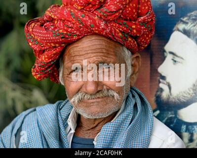 Vecchio Rajasthani indiano con baffi indossa un turban colorato Rajasthani (pagari) e guarda la macchina fotografica. Foto Stock