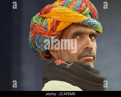 Bell'uomo indiano di mezza età del Rajasthani con turbano colorato del Rajasthani (pagari, pagri, pagadi) pone per la macchina fotografica. Foto Stock