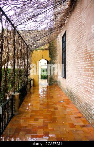 galleria di un cortile interno del Real Alcazar Gardens a Siviglia Spagna - natura e architettura sfondo Foto Stock