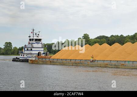 Il Tugboat spinge una chiatta di sabbia carica lungo il fiume Nanticoke, vicino a Seaford, Delaware. Foto Stock