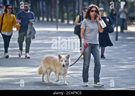 Donna che cammina il suo cane e parla al telefono in Piazza Umberto i, Via Sparano da Bari. Bari, Italia Foto Stock